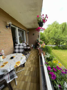 Bild6